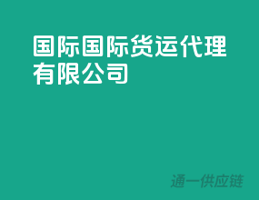 国际国际货运代理有限公司