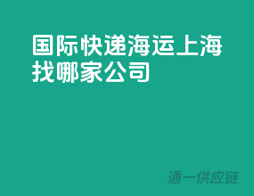 国际快递海运上海找哪家公司