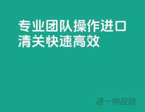 专业团队操作，进口清关快速高效