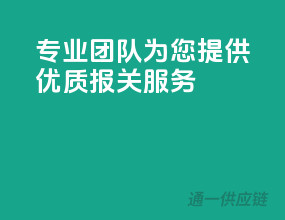 专业团队，为您提供优质报关服务！