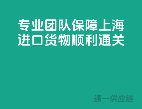 专业团队，保障上海进口货物顺利通关
