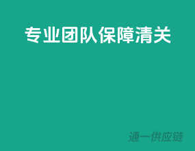 专业团队，保障清关