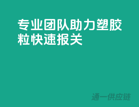 专业团队，助力塑胶粒快速报关