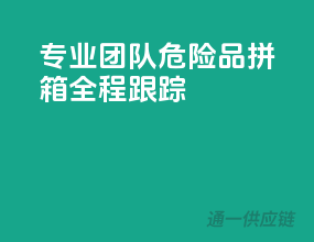 专业团队，危险品拼箱，全程跟踪