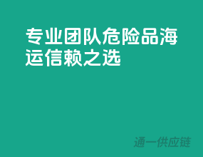 专业团队，危险品海运信赖之选