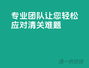 专业团队，让您轻松应对清关难题