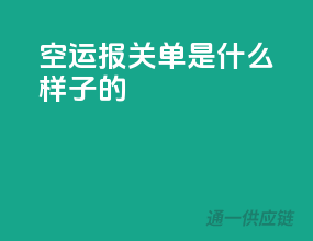 空运报关单是什么样子的