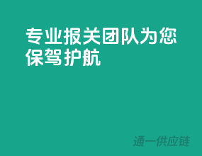专业报关团队，为您保驾护航