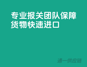 专业报关团队，保障货物快速进口