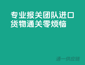 专业报关团队，进口货物通关零烦恼