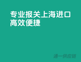 专业报关，上海进口，高效便捷