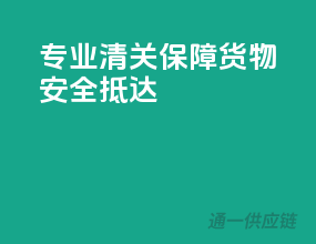 专业清关，保障货物安全抵达