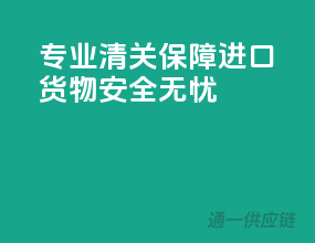 专业清关，保障进口货物安全无忧