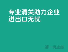 专业清关，助力企业进出口无忧