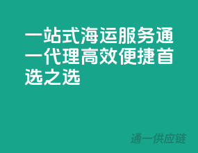 一站式海运服务，通一代理，高效便捷，首选之选！