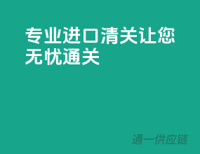 专业进口清关，让您无忧通关！