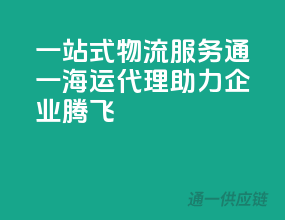 一站式物流服务，通一海运代理，助力企业腾飞！