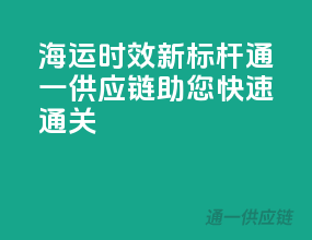 海运时效新标杆，通一供应链助您快速通关