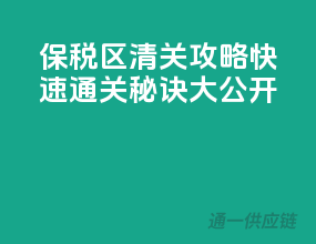 保税区清关攻略：快速通关秘诀大公开