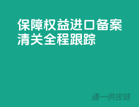 保障权益，进口备案清关全程跟踪