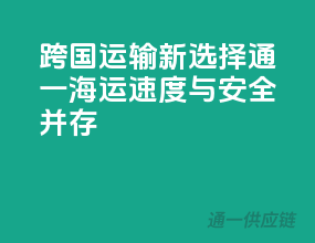 跨国运输新选择，通一海运速度与安全并存