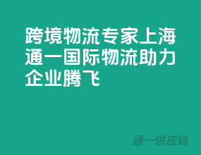 跨境物流专家，上海通一国际物流助力企业腾飞