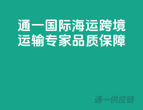 通一国际海运，跨境运输专家，品质保障！