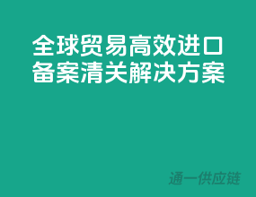 全球贸易，高效进口备案清关解决方案