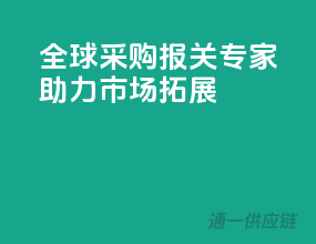 全球采购，报关专家助力市场拓展
