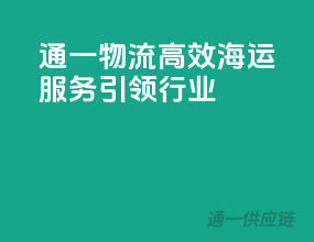 通一物流，高效海运服务引领行业