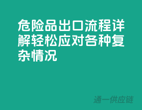 危险品出口流程详解，轻松应对各种复杂情况