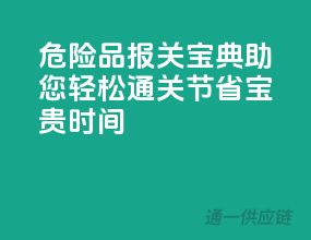 危险品报关宝典，助您轻松通关，节省宝贵时间