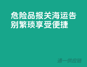 危险品报关海运，告别繁琐，享受便捷