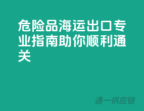 危险品海运出口，专业指南助你顺利通关
