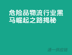 危险品物流行业黑马：崛起之路揭秘！