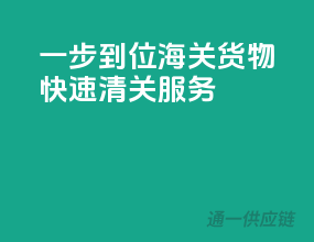 一步到位，海关货物快速清关服务