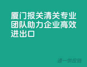 厦门报关清关，专业团队助力企业高效进出口