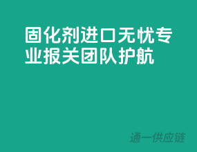 固化剂进口无忧，专业报关团队护航