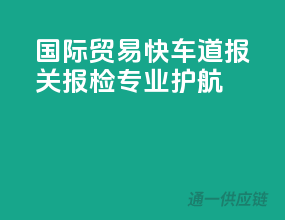 国际贸易快车道，报关报检专业护航