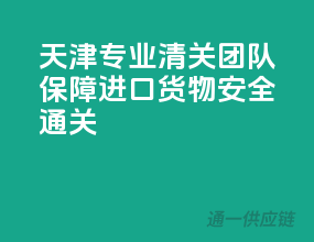 天津专业清关团队，保障进口货物安全通关