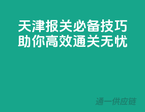 天津报关必备技巧，助你高效通关无忧