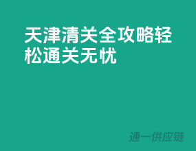 天津清关全攻略，轻松通关无忧