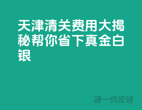 天津清关费用大揭秘，帮你省下真金白银