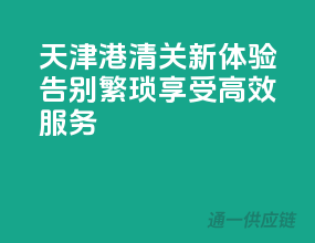 天津港清关新体验，告别繁琐，享受高效服务