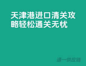 天津港进口清关攻略：轻松通关无忧