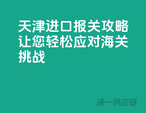 天津进口报关攻略，让您轻松应对海关挑战