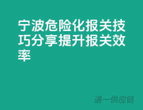 宁波危险化报关技巧分享，提升报关效率