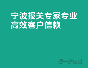 宁波报关专家，专业高效，客户信赖