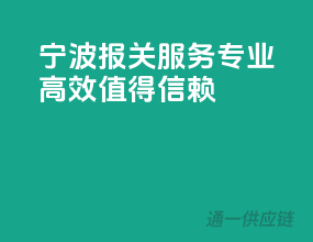 宁波报关服务，专业高效，值得信赖
