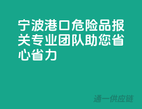 宁波港口危险品报关，专业团队助您省心省力